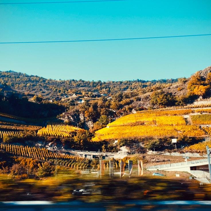 Entertainment zone at night in Germany
